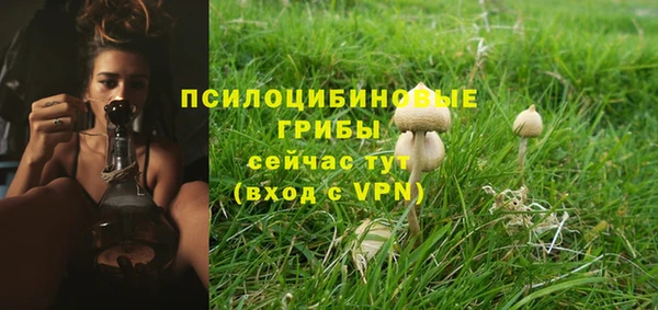 COCAINE Майский
